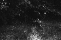 1976-0002-0000-0006-LS1