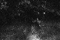 1976-0002-0000-0006-LS1
