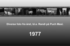 1977-0002-0000-0001-LS1