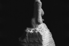 1977-0002-0000-0007-PS1