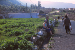 1980-0001-0000-0008-LF1