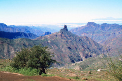 1980-0001-0000-0012-LF1