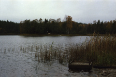 1986-0002-0000-0009-LF1