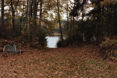 1986-0002-0000-0011-LF1