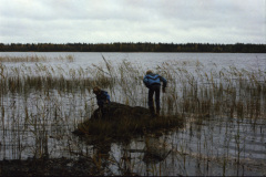 1986-0002-0000-0012-LF1