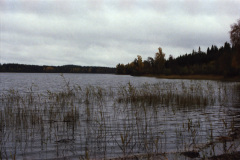1986-0002-0000-0013-LF1