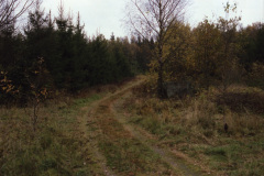 1986-0002-0000-0016-LF1