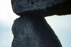 1988-0001-0000-0017-PF1