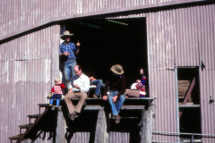 1989-0001-0000-0081-LF1