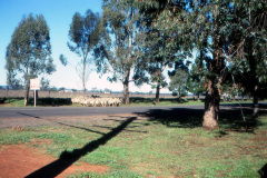 1989-0001-0000-0085-LF1
