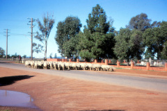 1989-0001-0000-0086-LF1