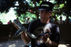 1989-0001-0000-0092-LF1