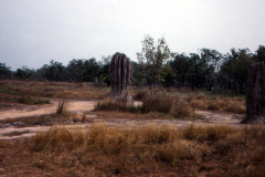 1989-0001-0000-0093-LF1