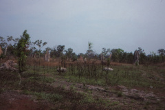 1989-0001-0000-0094-LF1