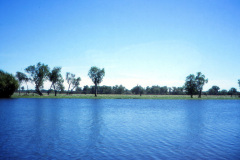 1989-0001-0000-0098-LF1