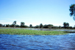 1989-0001-0000-0101-LF1
