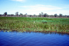 1989-0001-0000-0102-LF1