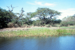 1989-0001-0000-0104-LF1