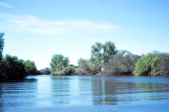 1989-0001-0000-0108-LF1