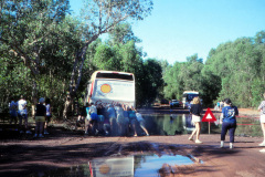 1989-0001-0000-0110-LF1