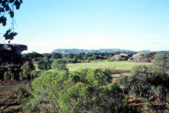 1989-0001-0000-0111-LF1