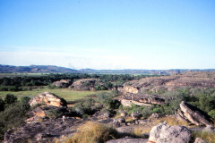 1989-0001-0000-0117-LF1