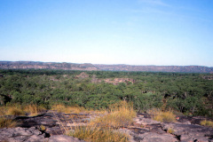1989-0001-0000-0118-LF1