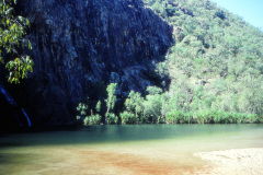 1989-0001-0000-0120-LF1