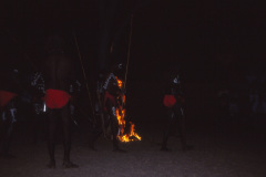 1989-0001-0000-0123-LF1