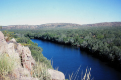 1989-0001-0000-0131-LF1