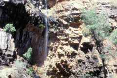 1989-0001-0000-0134-PF1