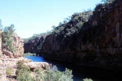 1989-0001-0000-0136-PF1