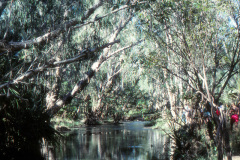 1989-0001-0000-0139-PF1