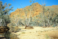 1989-0001-0000-0166-LF1