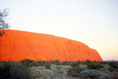 1989-0001-0000-0172-LF1