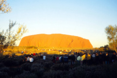 1989-0001-0000-0173-LF1