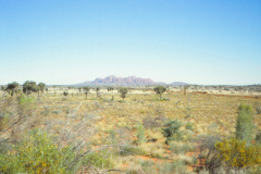 1989-0001-0000-0187-LF1