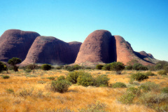 1989-0001-0000-0190-LF1