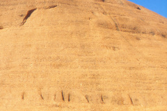 1989-0001-0000-0192-PF1
