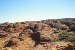 1989-0001-0000-0195-LF1