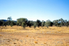 1989-0001-0000-0209-LF1