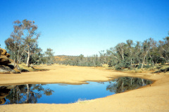 1989-0001-0000-0210-LF1