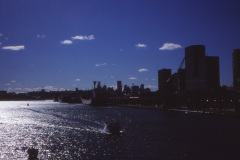 1989-0001-0000-0232-LF1