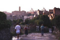 1990-0004-0000-0022-LF1