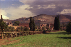 1990-0004-0000-0035-LF1