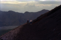 1990-0004-0000-0036-LF1