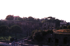 1990-0004-0000-0038-LF1
