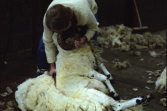 1990-0002-0000-0051-PF1