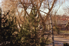 1990-0006-0000-0020-LF1
