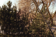1990-0006-0000-0021-LF1
